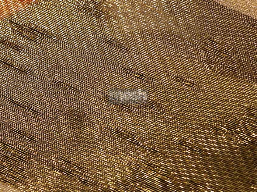 The multi-dimensional expression of Art wire mesh fabric in modern art